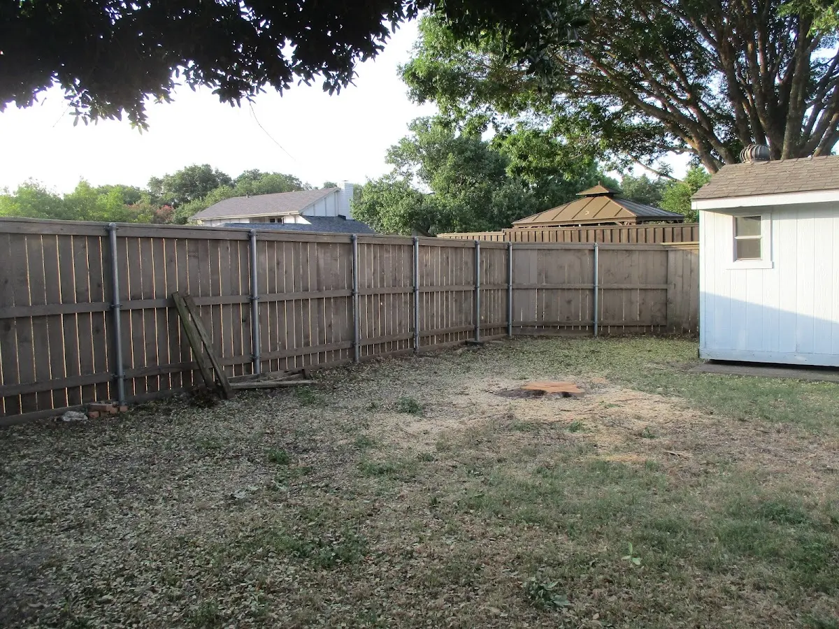 Cleared yard after professional tree removal in Peoria Heights
