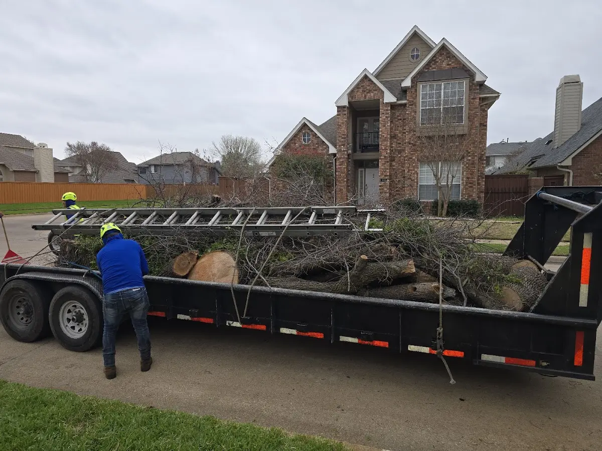 Expert Crown Reduction with proper safety equipment in Peoria Heights